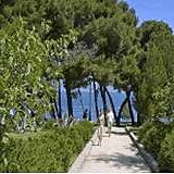 Waterman Svpetrvs Resort