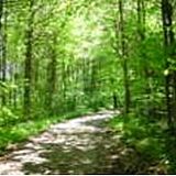Black Oak Mountain Resort