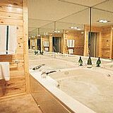 Endless Mountain Resort — Bathroom at the