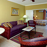 Divi Southwinds Beach and Racquet Club — - Unit Living Area