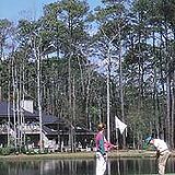 Tidewater Golf Club and Plantation &mdash; - Golf Course