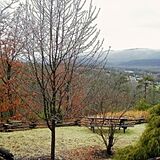 Senedo Springs — - Picnic Area