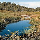 Rancho Ruidoso Condominiums — - River