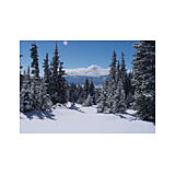 Sun Lodge of Angel Fire — - View
