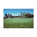 Shearwater Country Club — Golf at the