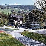 The Alpine Club