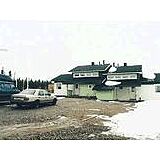 Kulta-Katti