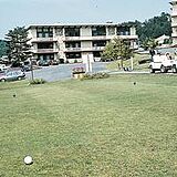 The Pines