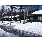 Gala Fjellgrend