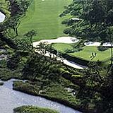 Tidewater Golf Club and Plantation — - Golf Course