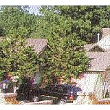 Innsbrook Village Country Club