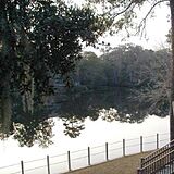 Brigantine Quarters — - View From Deck