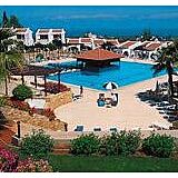 Dedeman Olive Tree — - Outdoor Pool