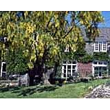 Court Barton