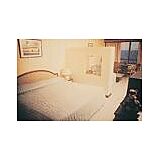 Hippocampus Beach International Resort — Room at