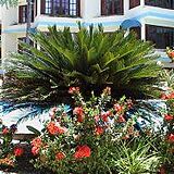 Sosua by the Sea