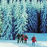 Ferienclub Mitterfels (Mondi) — Area Skiing