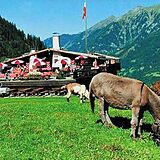 Ferienclub Bellevue (Mondi)