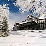 4 Seasons at Beech