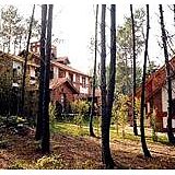 Posada del Bosque