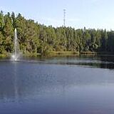 AU Naturel Florida Paradise Lakes Resort &mdash; - Lake