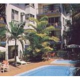 Island Palms