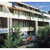 The Lofts Apartments