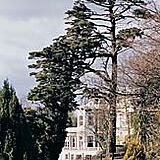 Infiniti at Trenython Manor