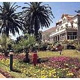 Carlton Palms