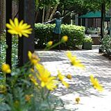 Church Street Inn &mdash; - Courtyard