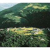 Mount Sheba