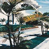 Taranova-Villas Palmas