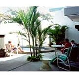 Taranova-Villas Palmas — - Pool