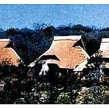 Lokuthula Lodges