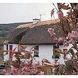 Connemara Country Cottages