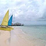 Morritt's Tortuga Club — Beach