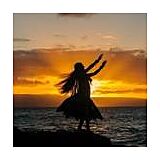 Come enjoy many sunsets