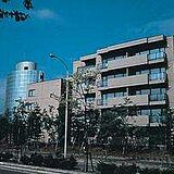 Therm Chitose Dominio