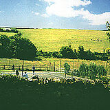Court Barton
