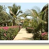 Neptune Beach Club — - Tropical Garden
