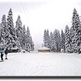 Ilgaz Mountain Resort