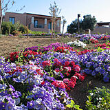 The Village Heights Golf Resort