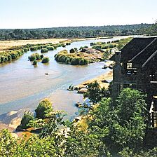 Ngwenya Lodge