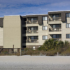 Ocean Forest Colony