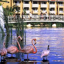Club Viva Wyndham Dominicus Palace