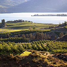 Wapato Point — Lake & Vineyards