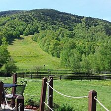 Mittersill Alpine Resort