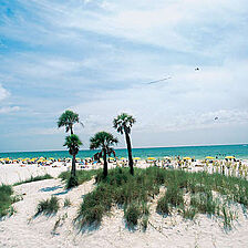 Shoreline Towers — Beach