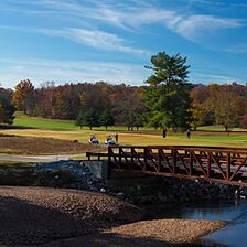 The Greens at Bella Vista Village — Golf Course