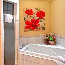 Village at Chestnut Rise at Big Canoe — Bathroom